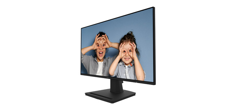 مانیتور ام اس ای مدل msi PRO MP252